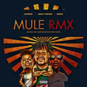 Jhargo - Mule (Remix) (ft. Seriki & Wale Turner)